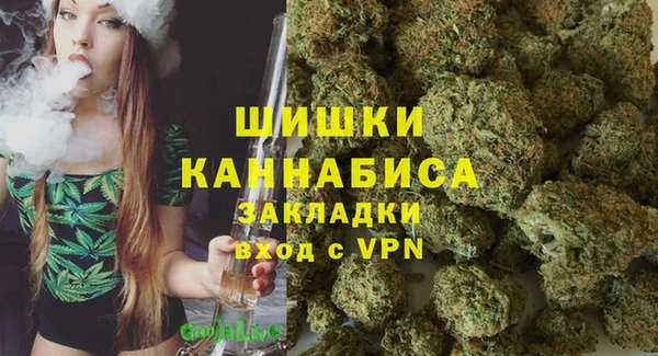 герыч Бронницы