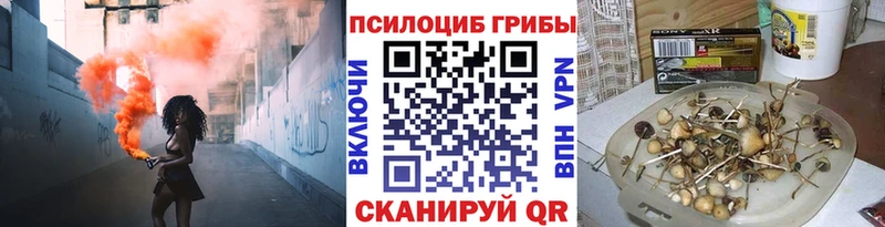 Псилоцибиновые грибы Magic Shrooms  Купить где  Долгопрудный 